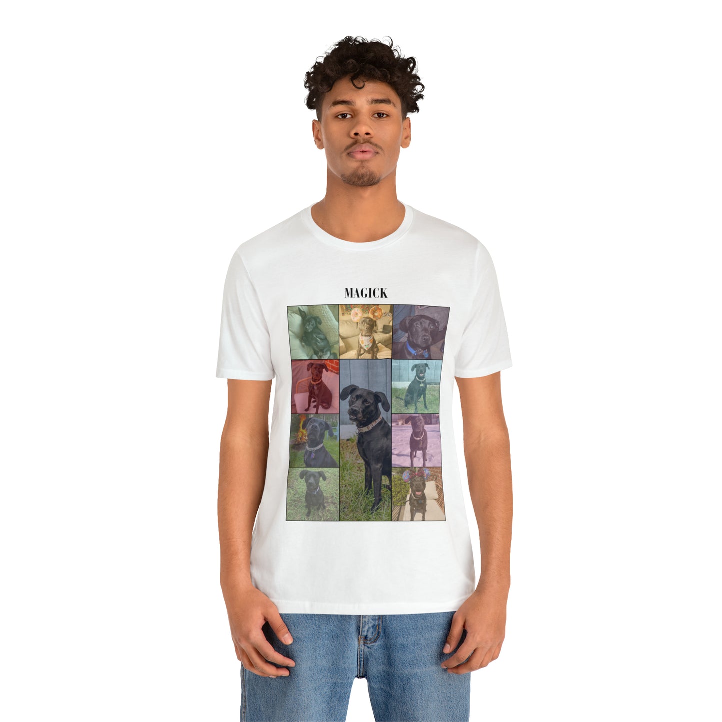 Eras Tour Pet Poster Short Sleeve Tee