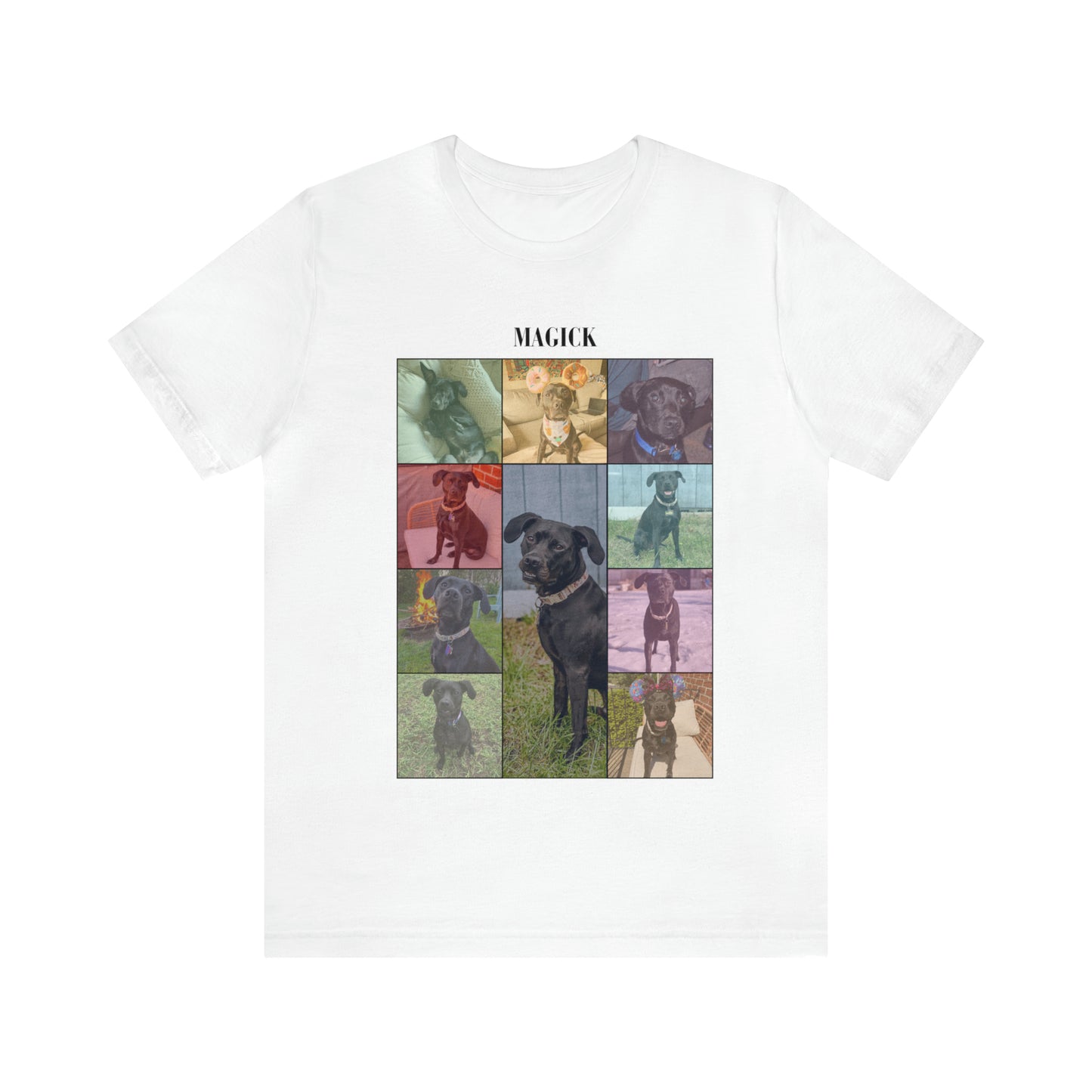 Eras Tour Pet Poster Short Sleeve Tee