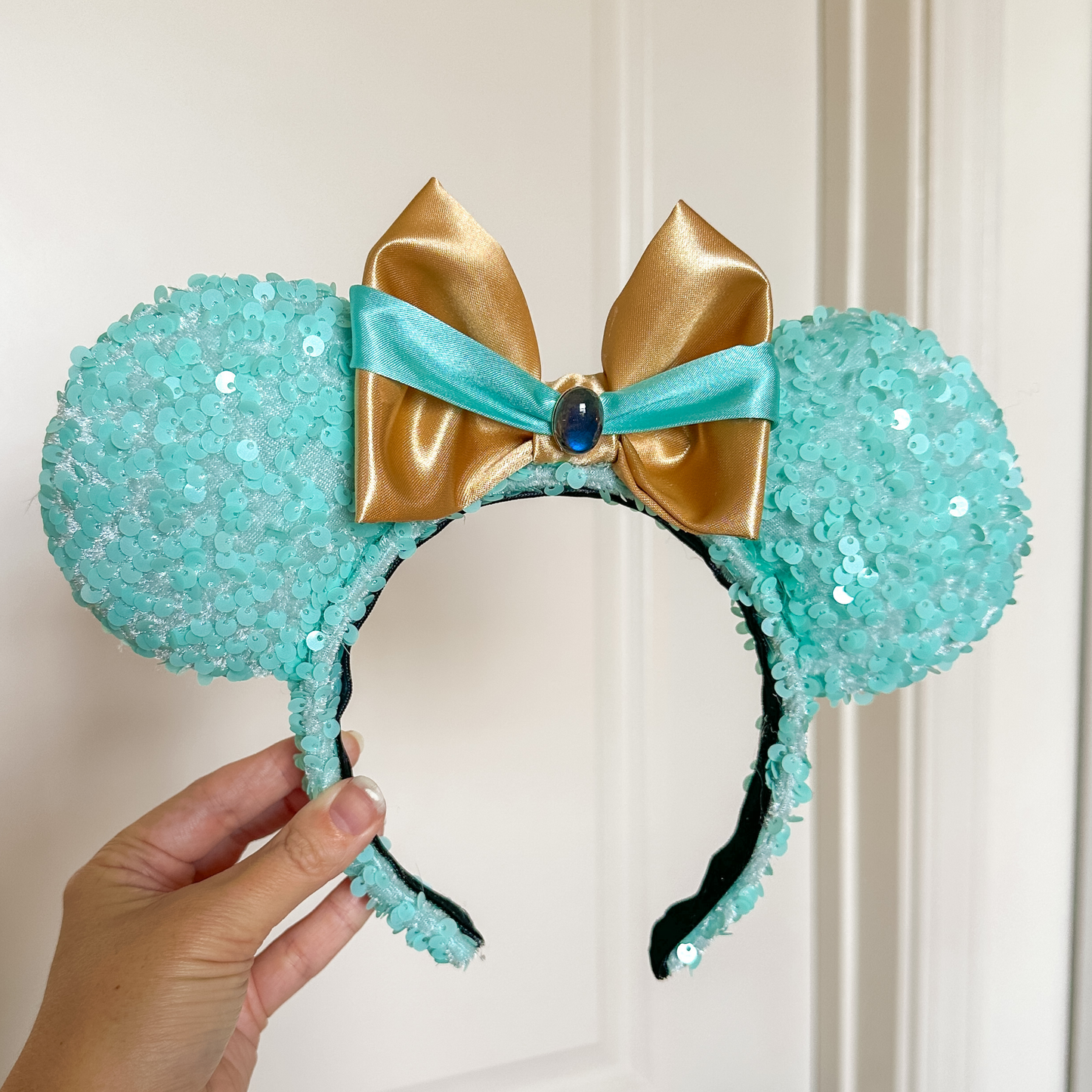 Whole New World Ears